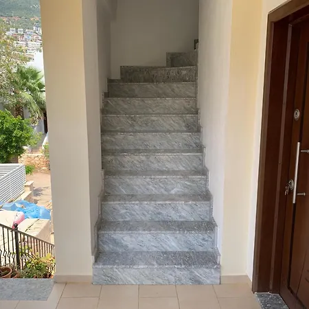 Kalkan Sener カシュ
